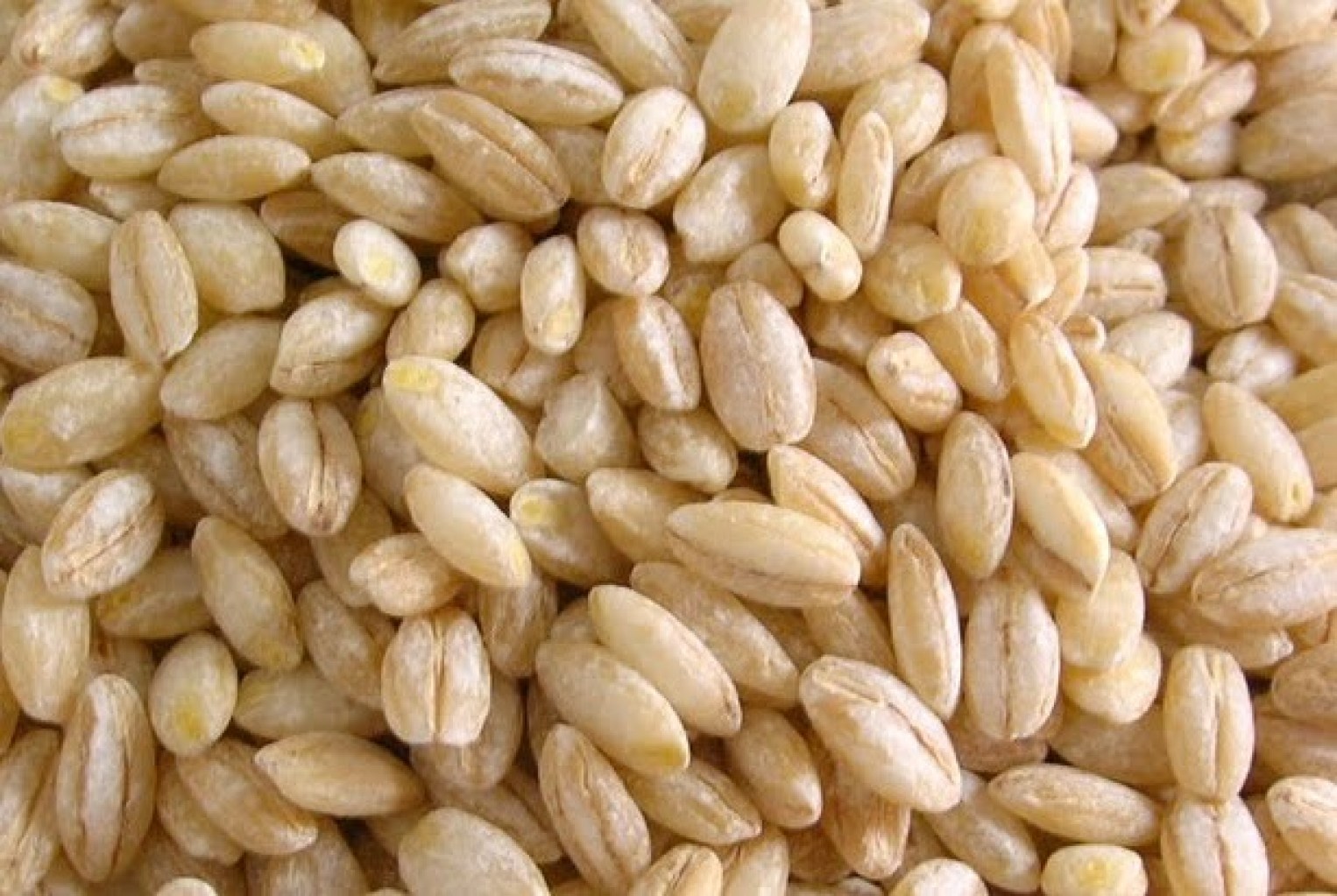 Orzo-perlato