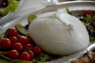 mozzarella-500-gr