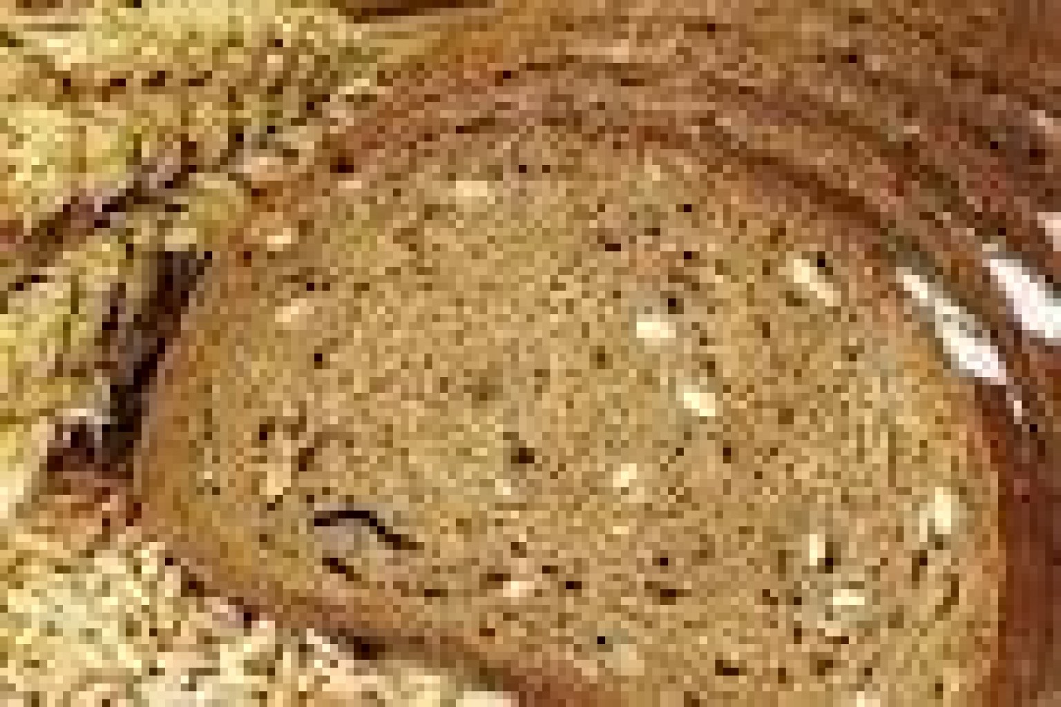 pane-cereali